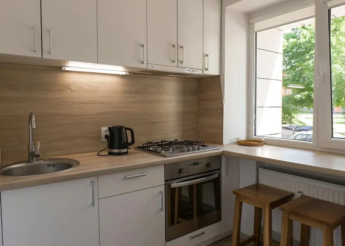 Апартаменты Danes Skveras, Jaukus Apartamentai Centre *